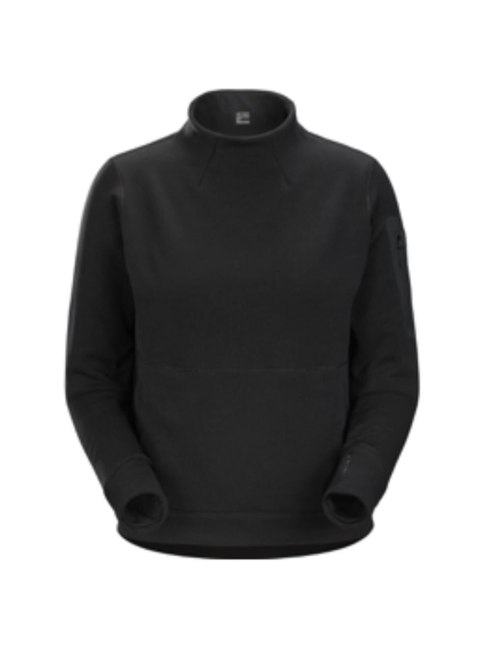 Arc’teryx Rho Heavyweight Mock Neck
